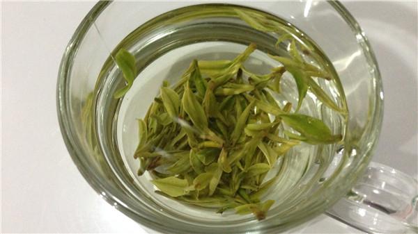 龙井茶是什么茶（龙井茶是什么茶树品种）